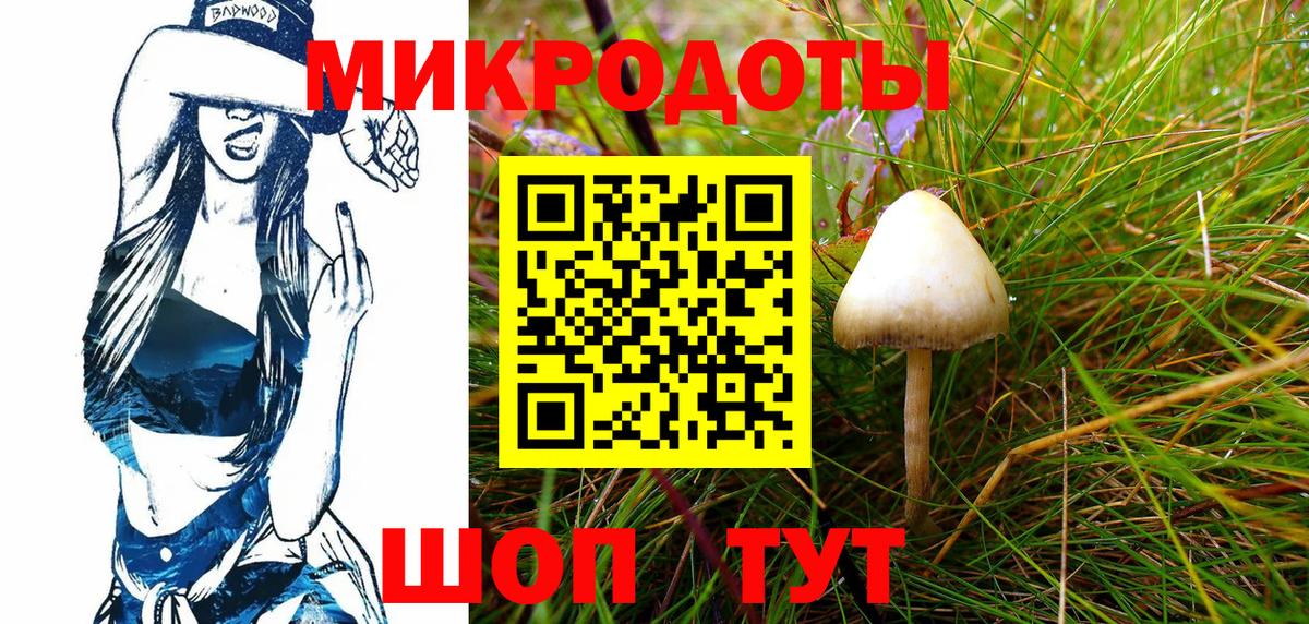 Псилоцибиновые грибы Psilocybine cubensis  Псилоцибиновые грибы мухоморы  Вход с VPN  Белореченск 